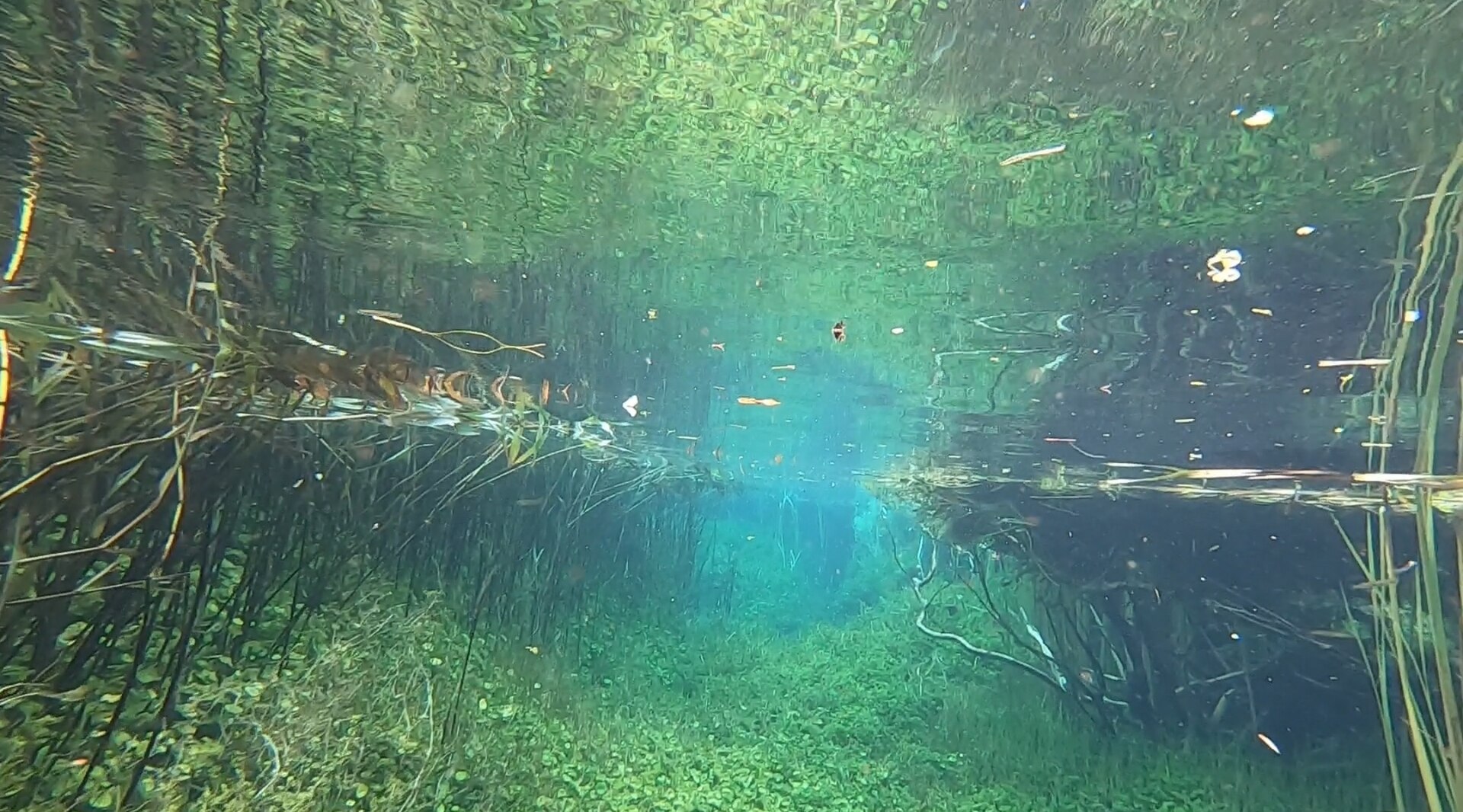 How Mount Gambier Became Australia's Cave-Diving Capital
